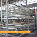 Automatic poultry cage for broiler raising